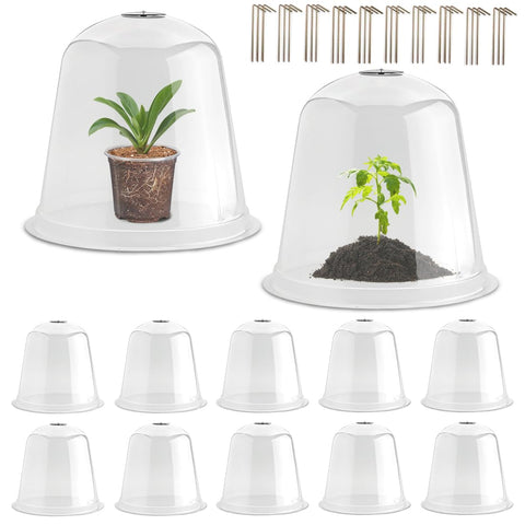 RooTrimmer 13-inch humidity dome over a seedling for warmth and visibility