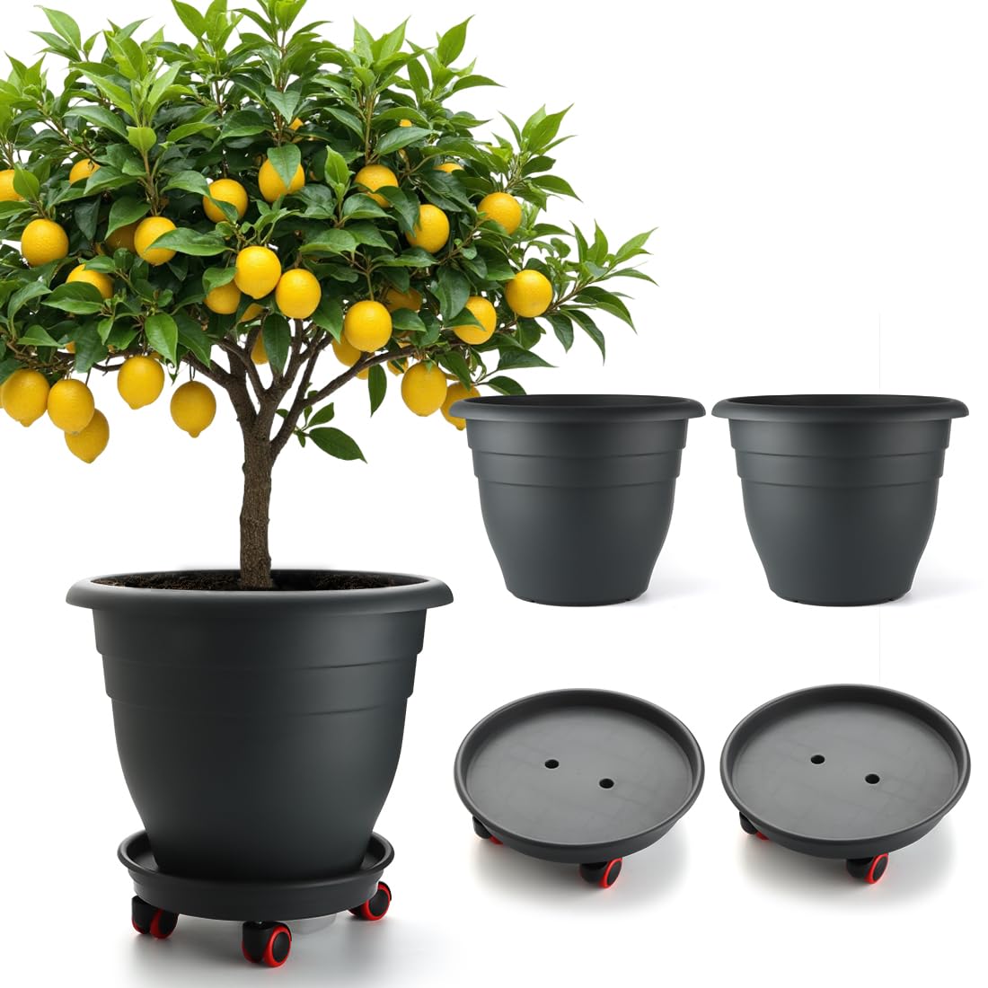 RooTrimmer 16-inch planter with rolling saucer for easy indoor plant movement.