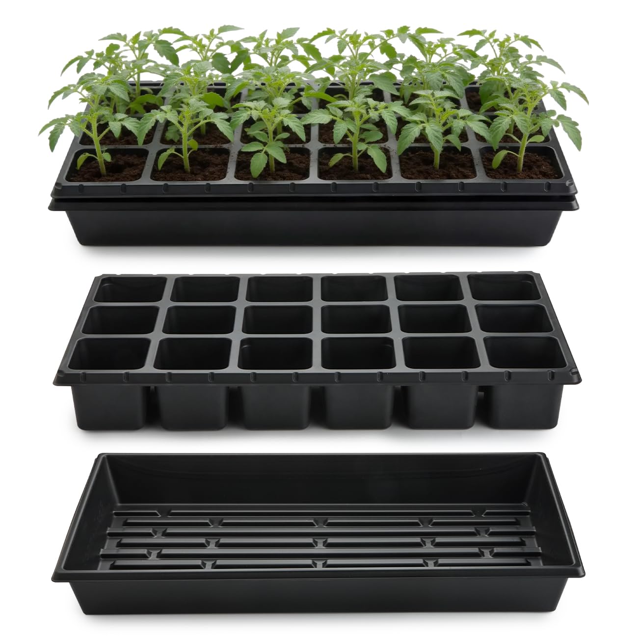 RooTrimmer 18-cell seedling trays with individual compartments