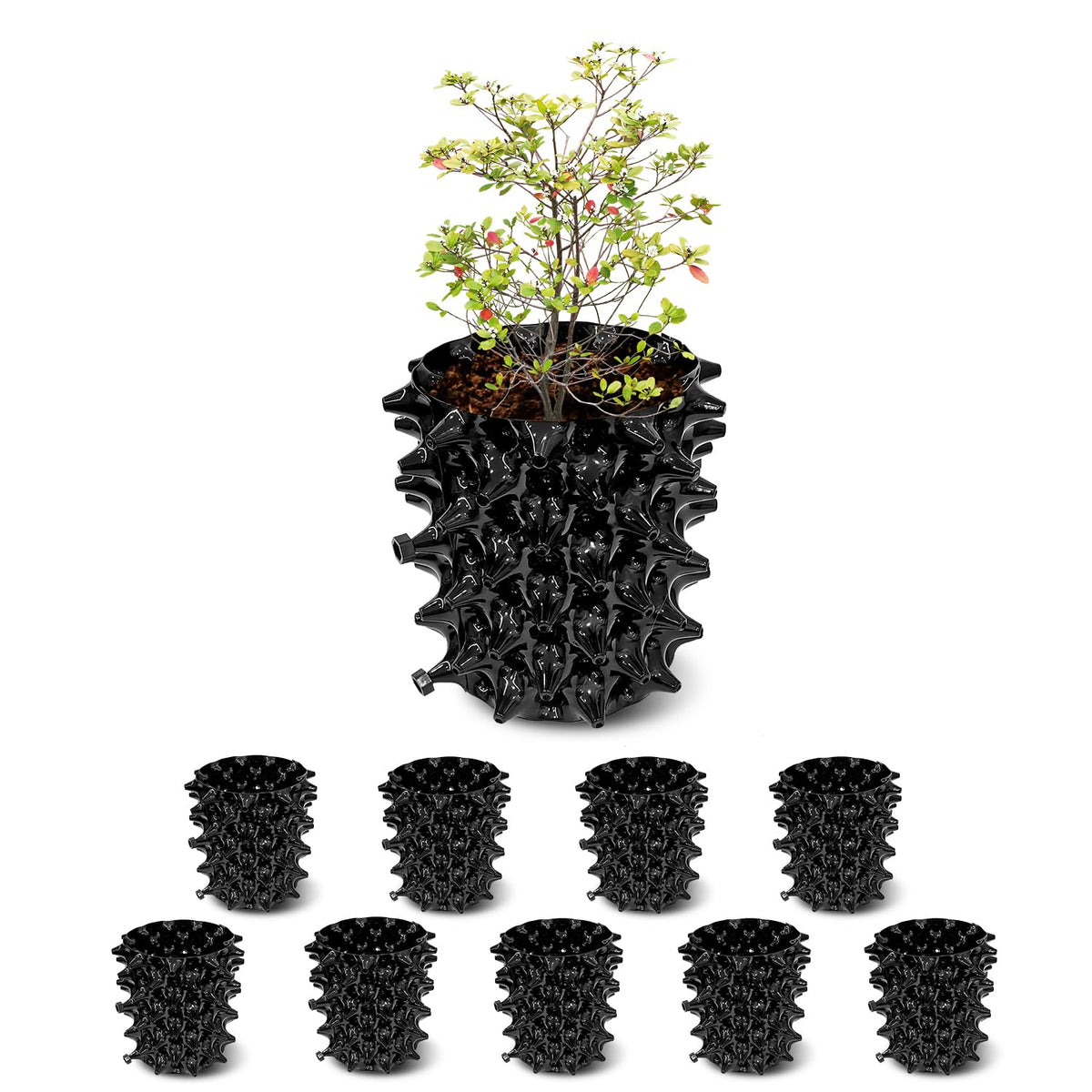 RooTrimmer 1G air pruning planter demonstrates root control for healthier transplants.