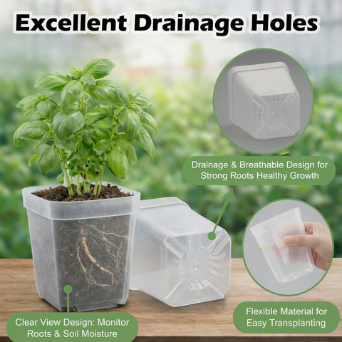 RooTrimmer 2-7-inch seedling pots for easy root monitoring
