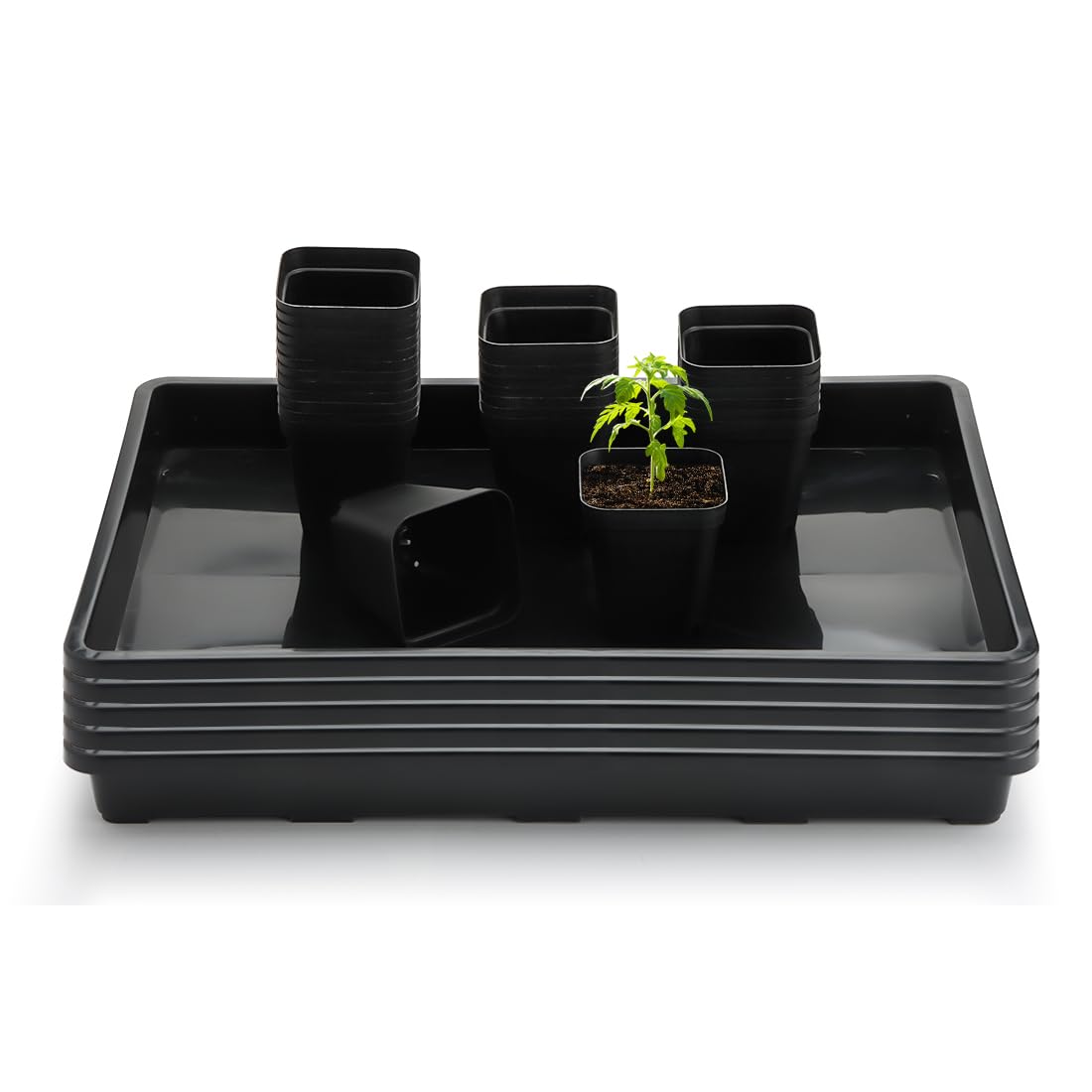 RooTrimmer 2.8-inch square nursery pot with BPA-free plastic for safe seedling growth