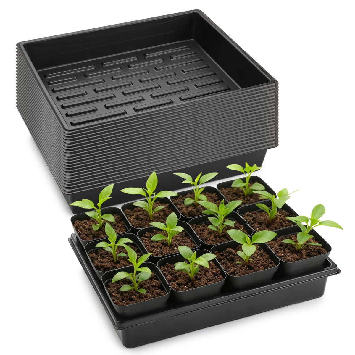 RooTrimmer 20-pack seedling trays for home germination and microgreens.