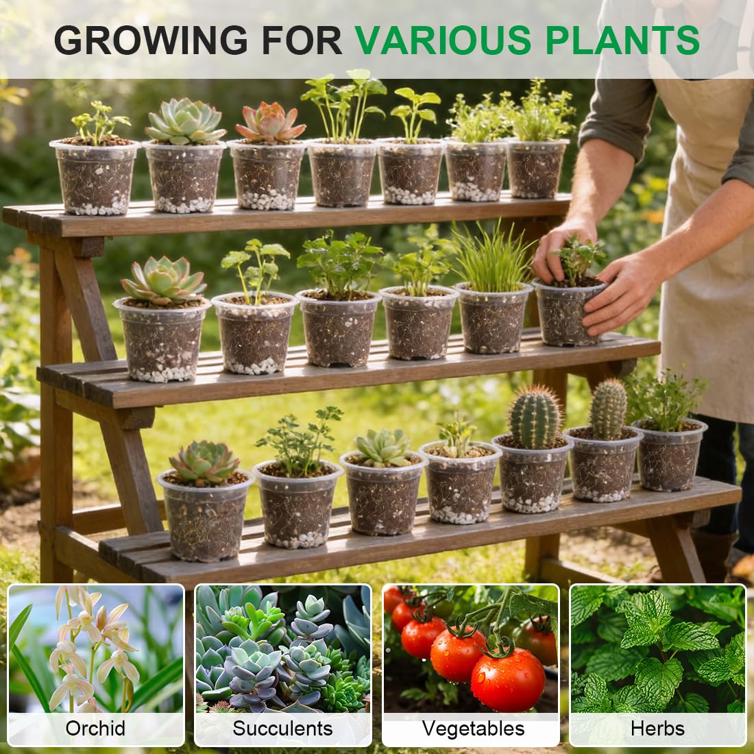 RooTrimmer 200-pack seed pots simplify bulk gardening projects.