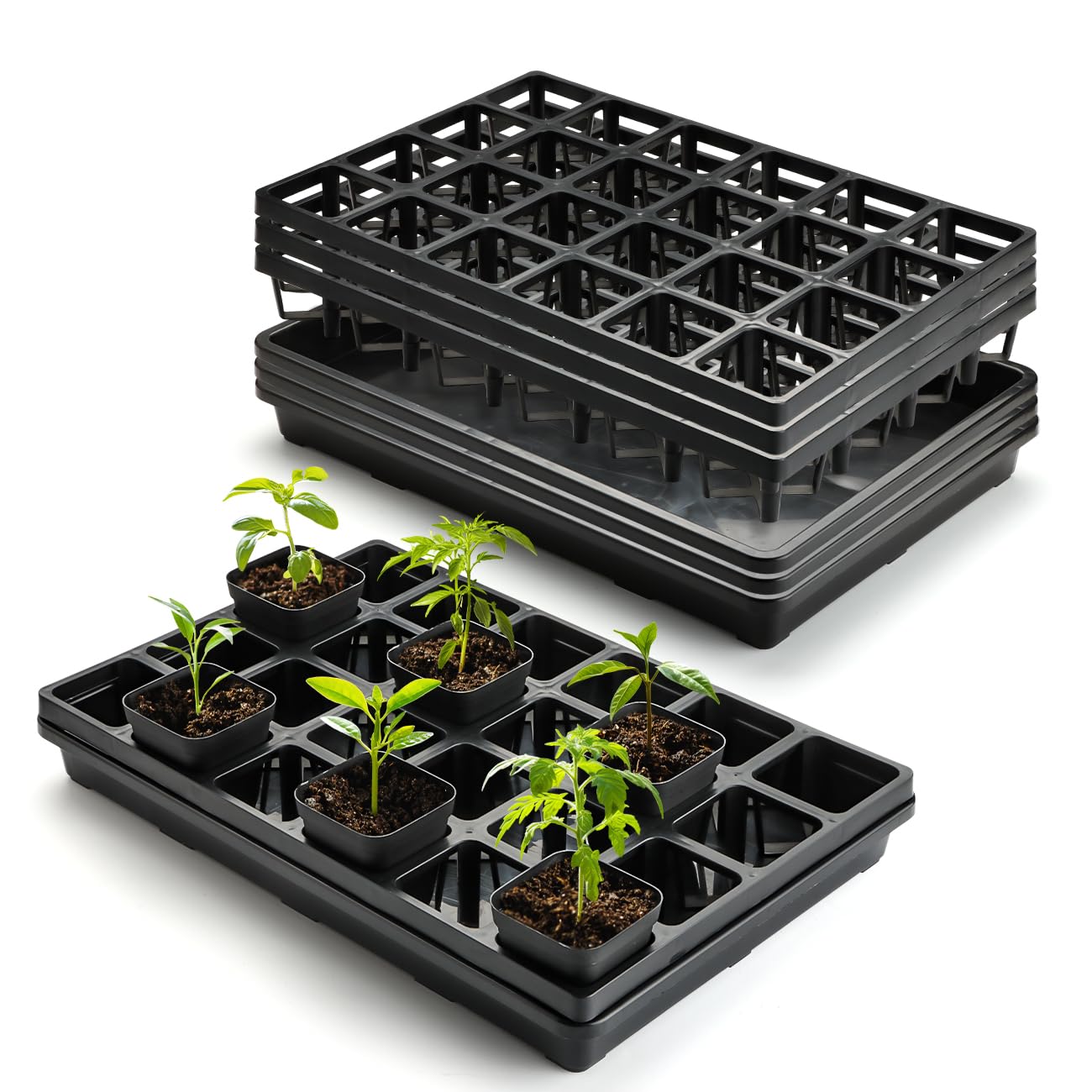 RooTrimmer 24-cell seedling tray pot showing organized 24-cell layout for easy transplanting.