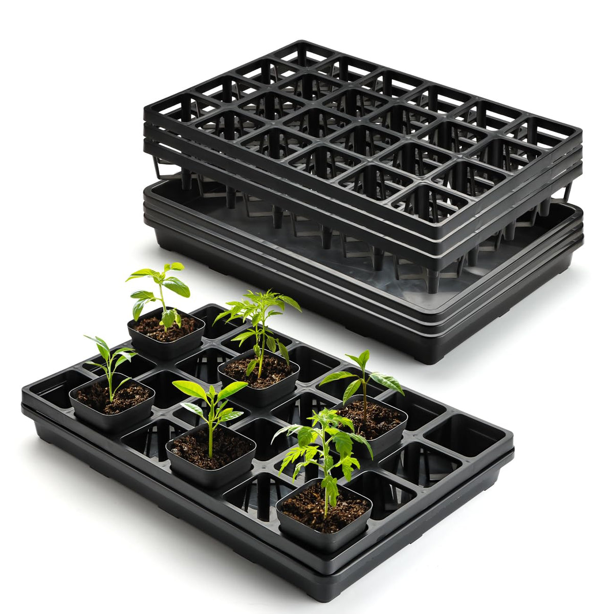 RooTrimmer 24-cell seedling tray pot showing organized 24-cell layout for easy transplanting.