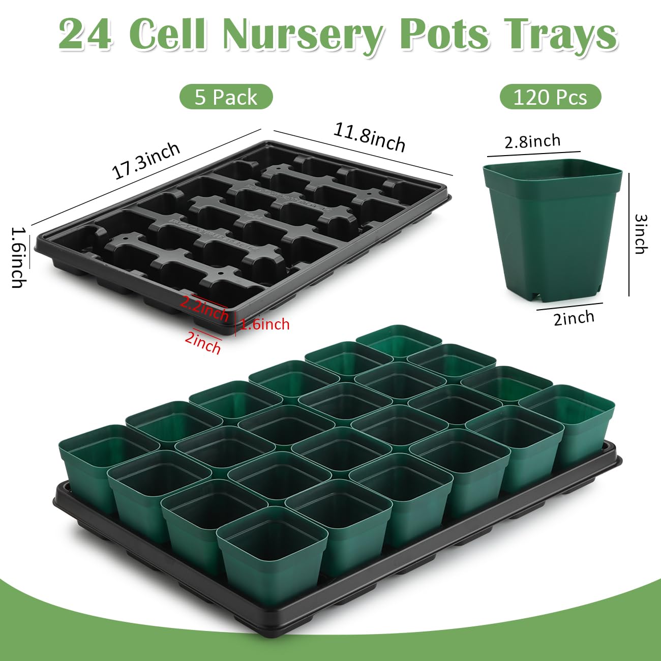 RooTrimmer 24-cell tray 5-pack shown for efficient batch seedling care
