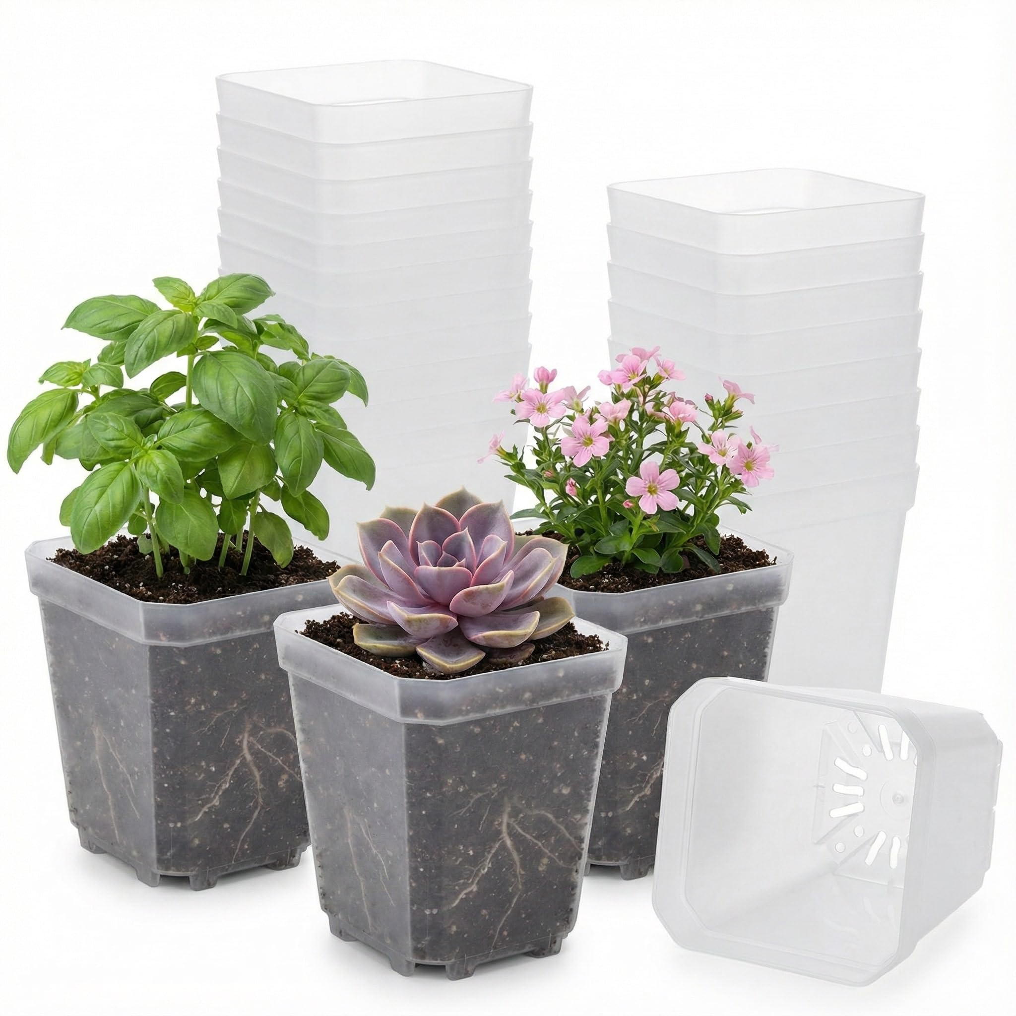 RooTrimmer compatible with 24-cell trays for organized propagation