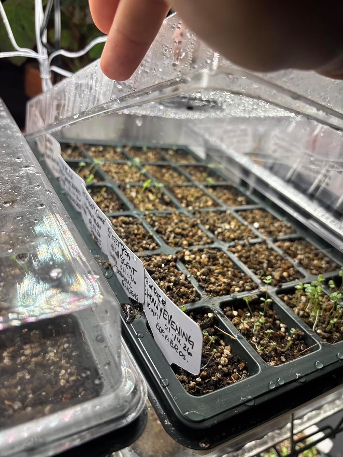 RooTrimmer 24XL seed tray base showcases durable construction