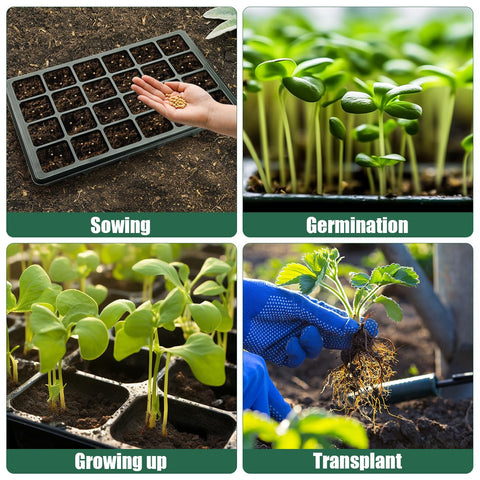RooTrimmer 24XL seed tray protective cover shields seedlings