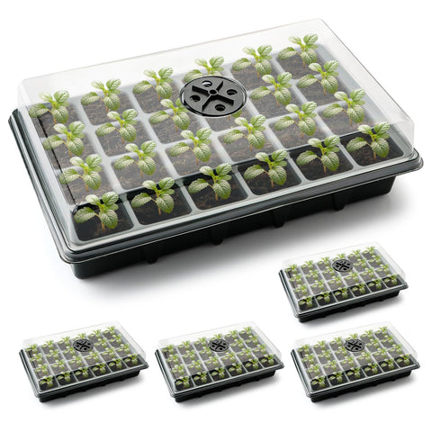 RooTrimmer 24XL seed tray with dome setup for efficient germination