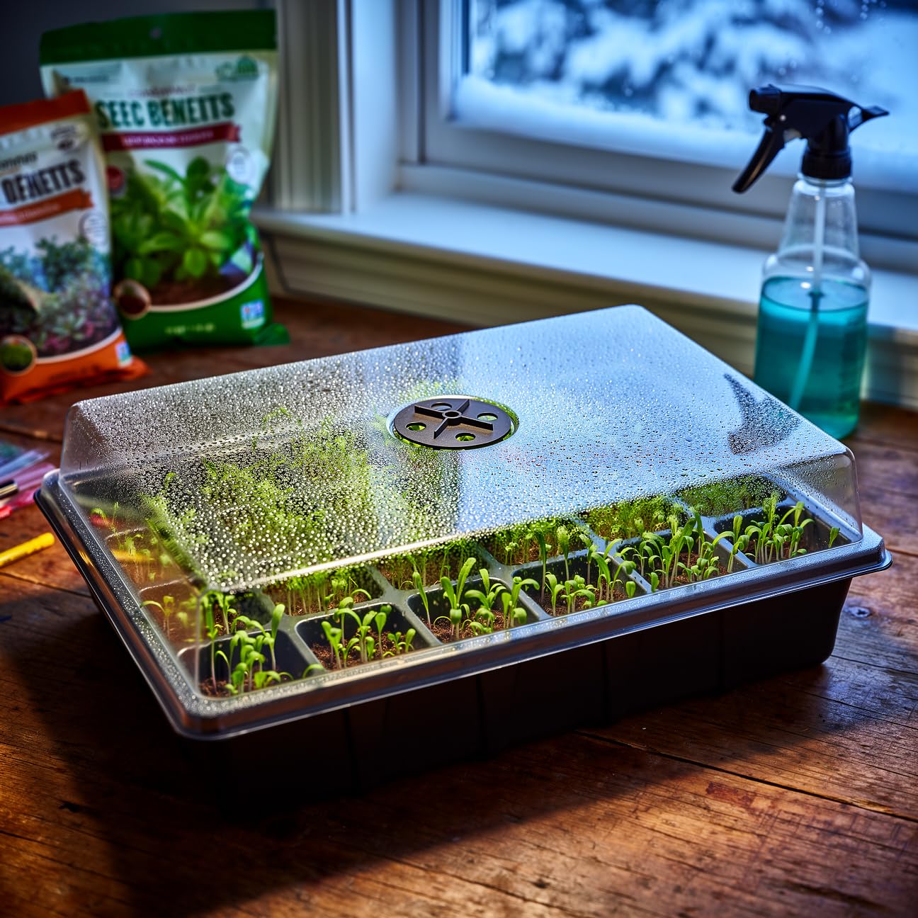 RooTrimmer 24XL seed tray lid transparent view of sprouts