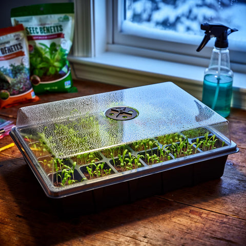 RooTrimmer 24XL seed tray lid transparent view of sprouts