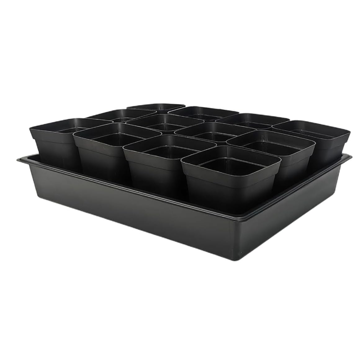 RooTrimmer 3.5-inch square pots top view for neat seedling organization.