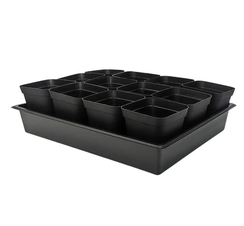 RooTrimmer 3.5-inch square pots top view for neat seedling organization.
