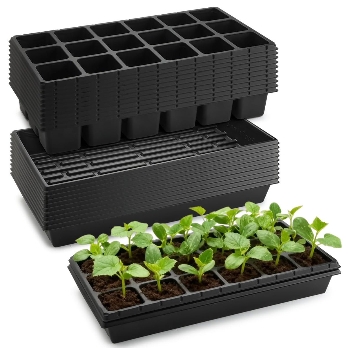 RooTrimmer 3-inch square pots for sturdy seedling starts