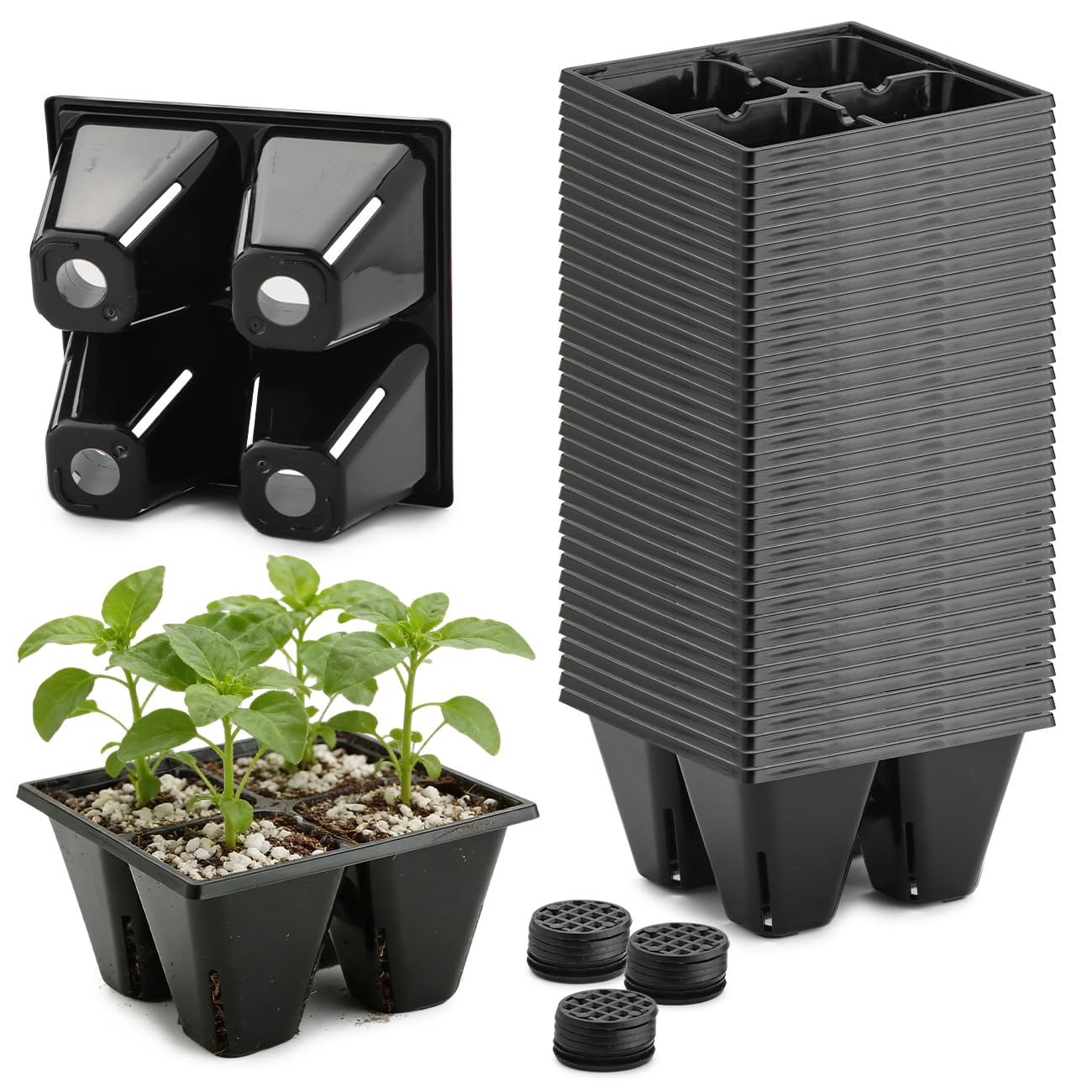 RooTrimmer 40-pack 4-cell seed tray with drainage holes for stable seedlings.
