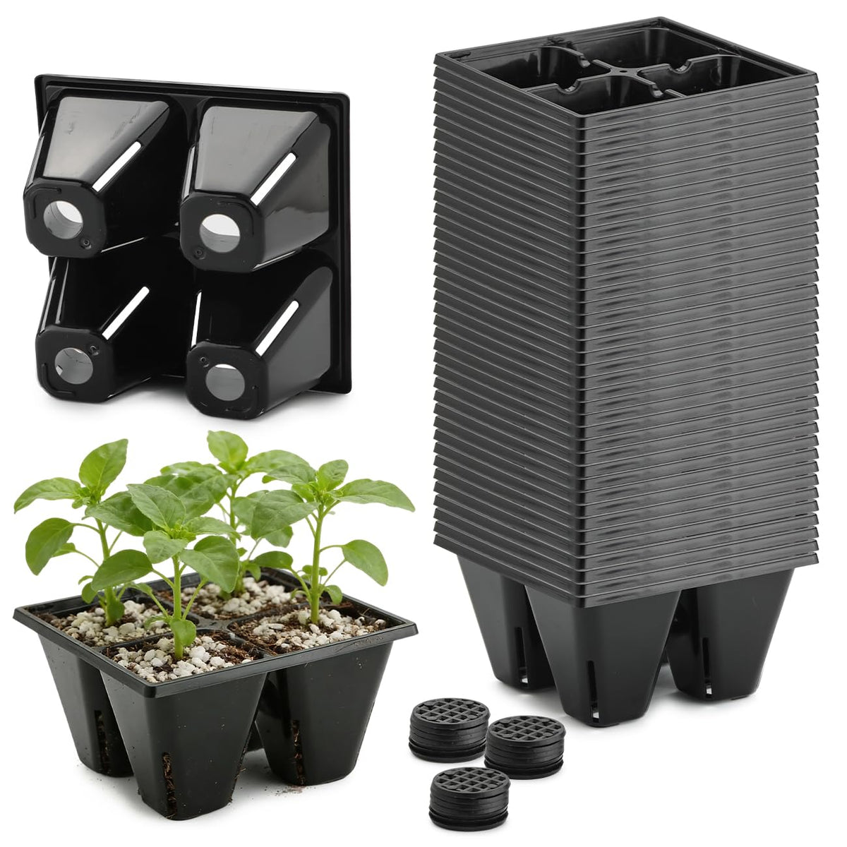 RooTrimmer 40-pack 4-cell seed tray with drainage holes for stable seedlings.