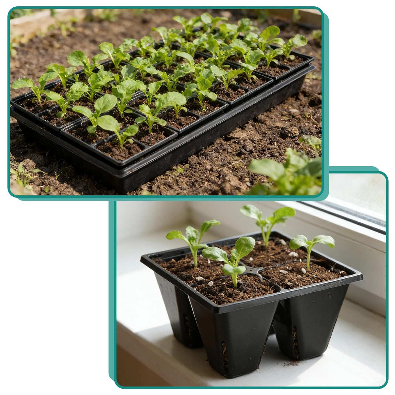 RooTrimmer 40-pack seed tray ready for multi-use gardening setups.
