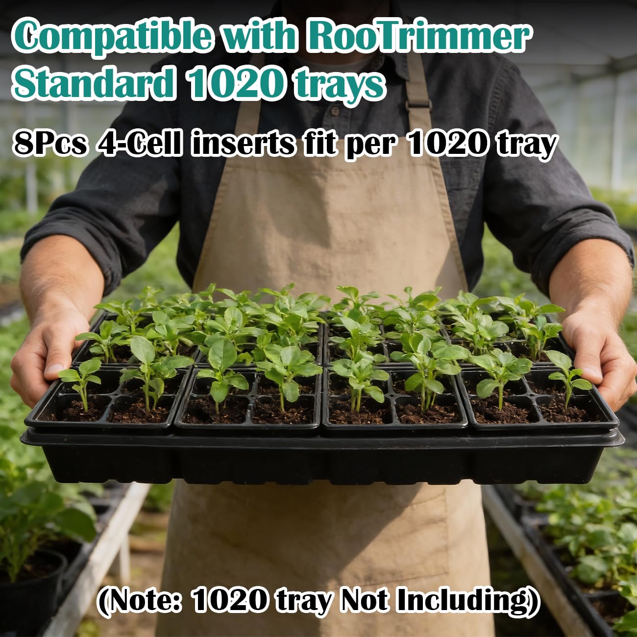RooTrimmer 4-cell seed tray with air pruning slots encourages strong roots.