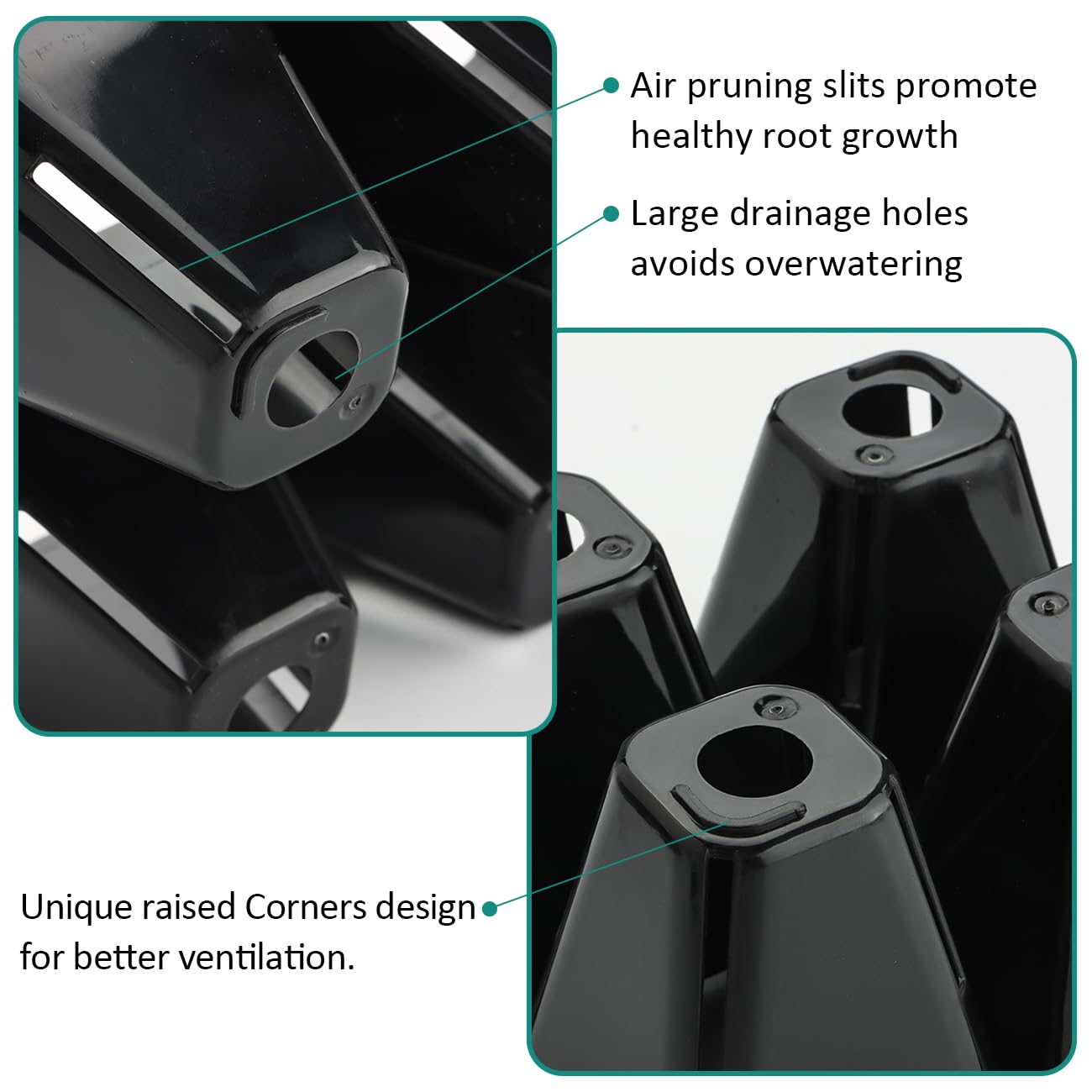 RooTrimmer 4-cell seed tray features deep cells for robust germination.