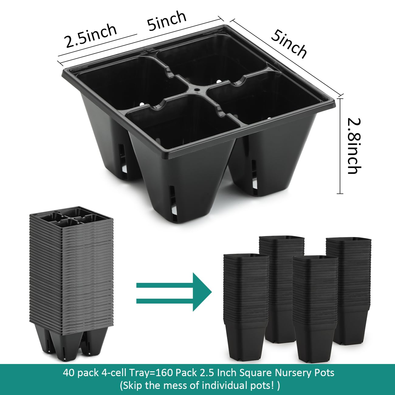 RooTrimmer 4-cell seed tray with drainage holes promotes moisture control.
