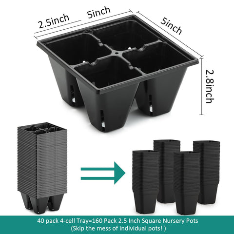 RooTrimmer 4-cell seed tray with drainage holes promotes moisture control.