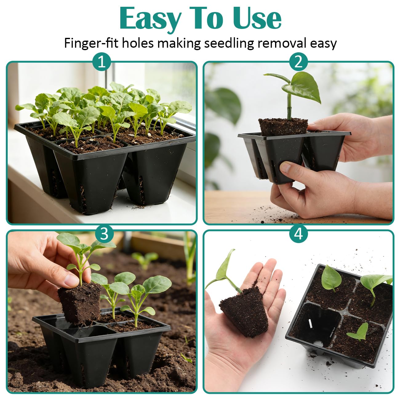 RooTrimmer 4-cell tray showing drainage holes for proper water management