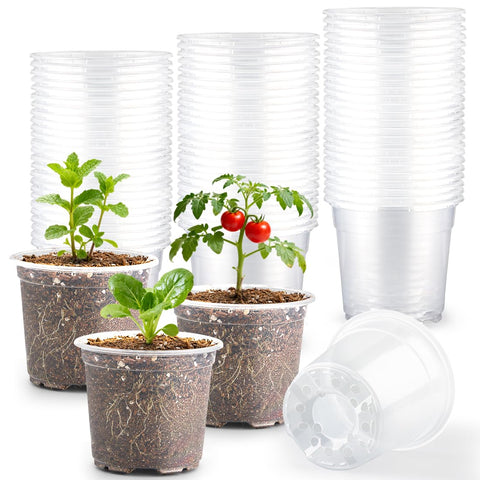RooTrimmer 4-inch clear pot with drainage holes for easy root observation.