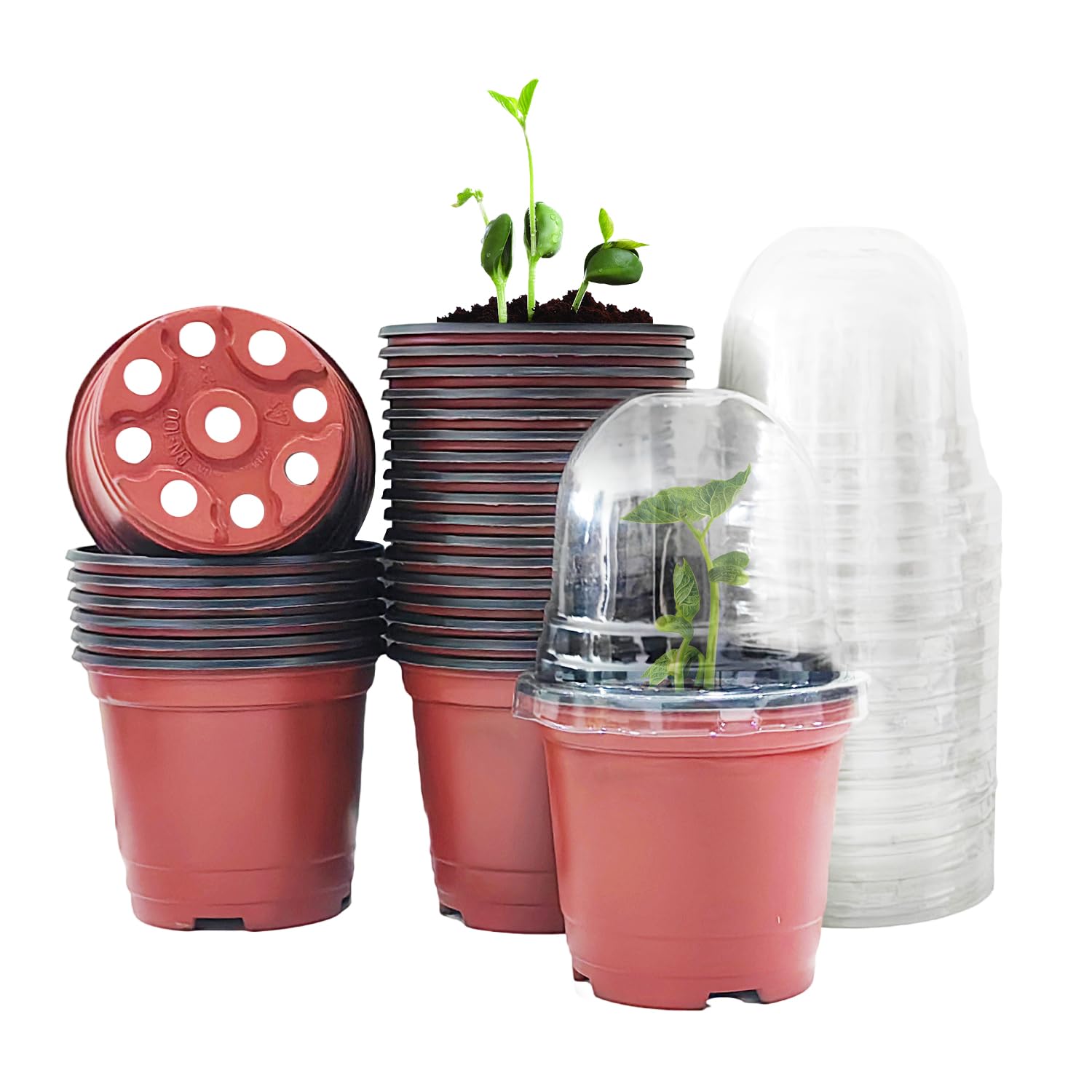 RooTrimmer 4-inch pot with drainage holes supports healthy seedlings.