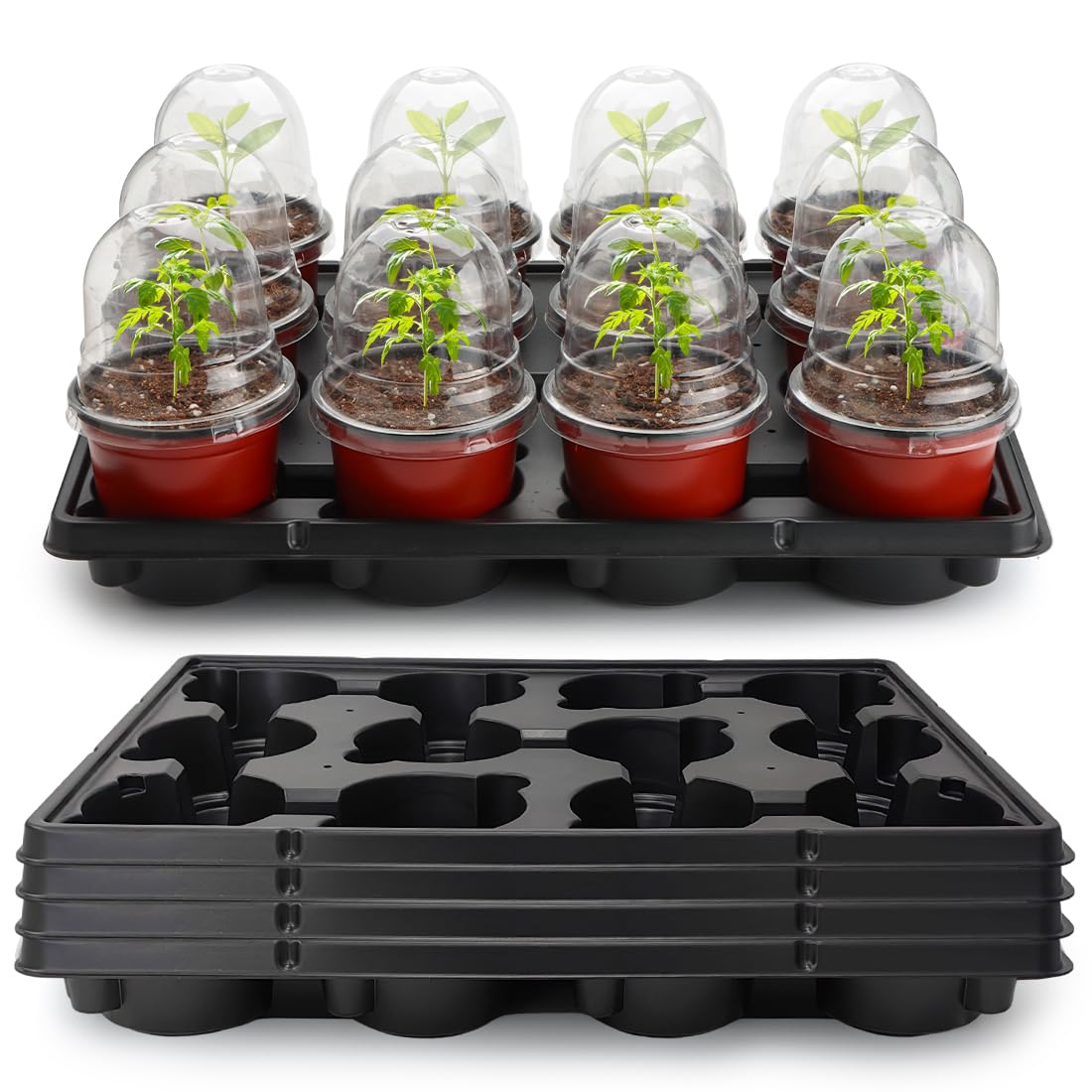 RooTrimmer 4-inch nursery pot with dome, ideal for seed germination and humidity control
