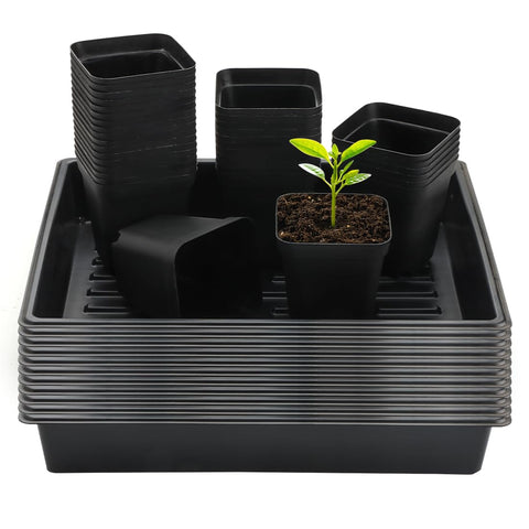 RooTrimmer 4 inch square pot with tray supports sturdy seedling growth.