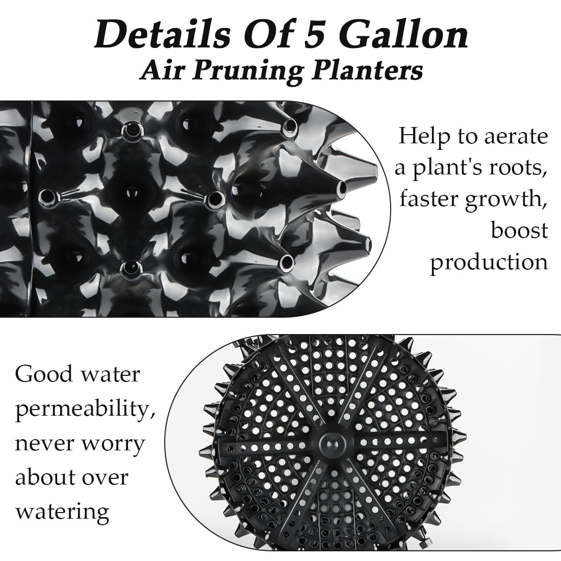 RooTrimmer 5 gallon planter side holes highlight superior drainage and root aeration in containers.