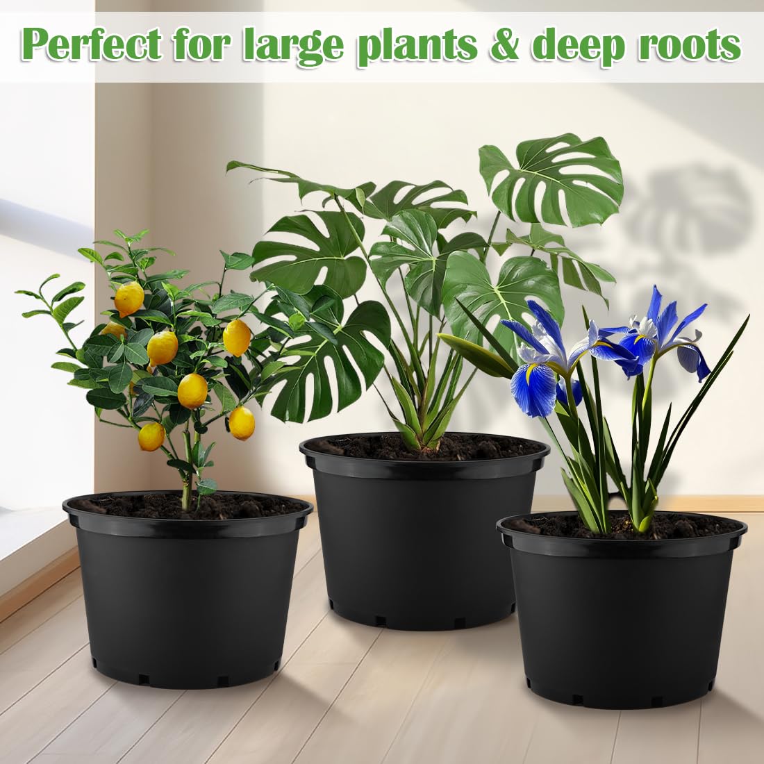 RooTrimmer 5-pack plastic nursery pots for versatile indoor or outdoor use.