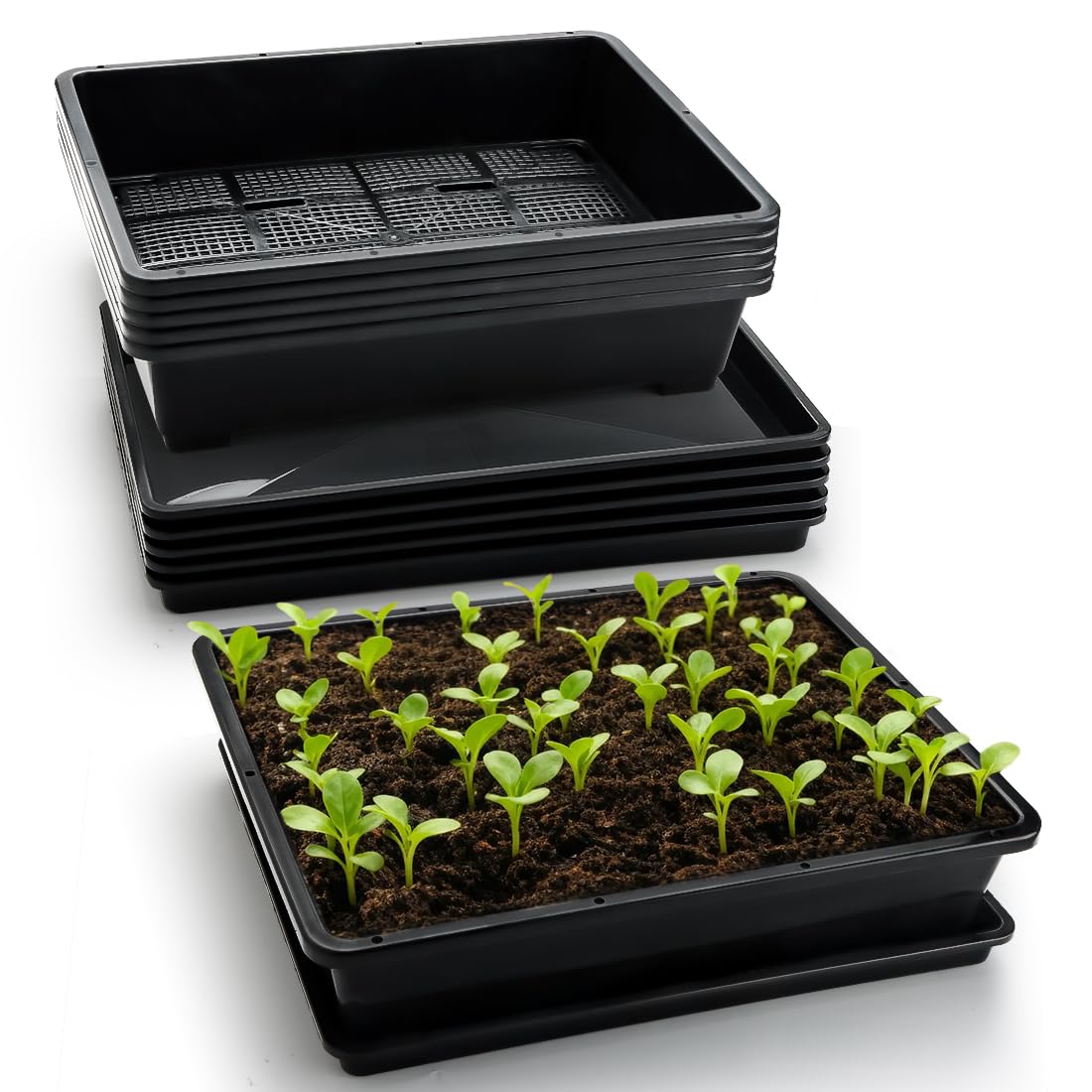 RooTrimmer 5-pack soil-blocking-trays for organized seed starting and easy relocation.