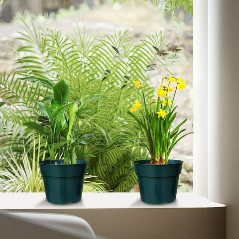 RooTrimmer bulk 50-pack green pots ideal for larger planting projects.
