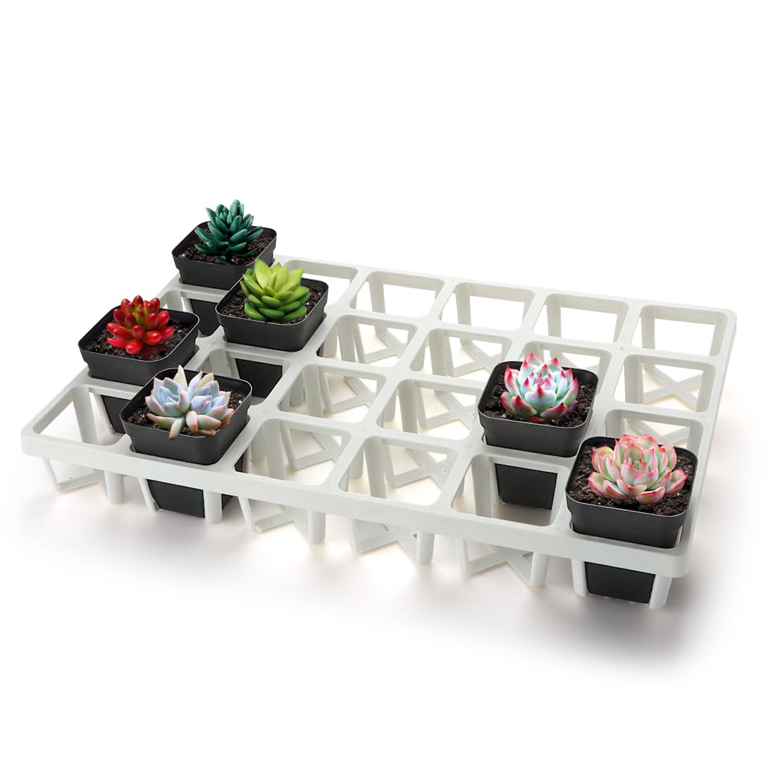 RooTrimmer 5-Pack pot move tray shows 24-cell layout for transporting square nursery pots.