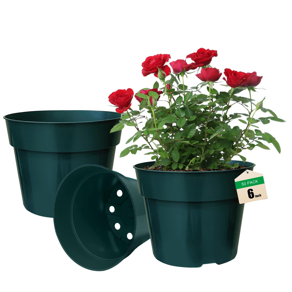 RooTrimmer 6-inch green nursery pot with drainage holes for healthy roots.