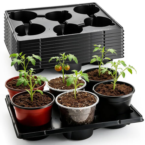 RooTrimmer 6-cell round pot tray supports 6-inch pots with sturdy base for upright growth