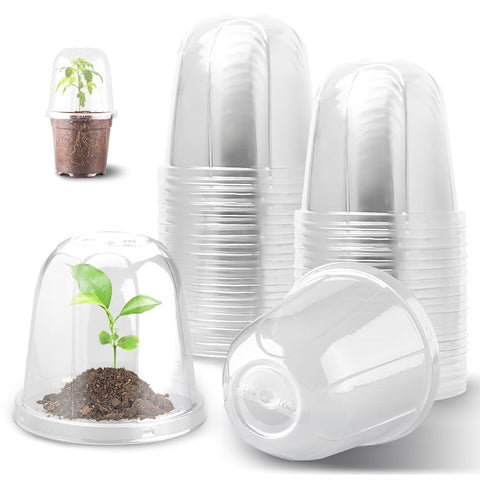 RooTrimmer 6 inch clear humidity dome over seedling pot for controlled humidity