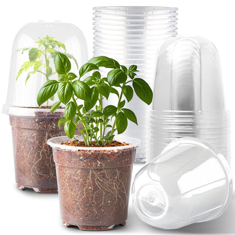 RooTrimmer 6-Inch clear nursery pot with humidity dome for seed starting and monitoring.