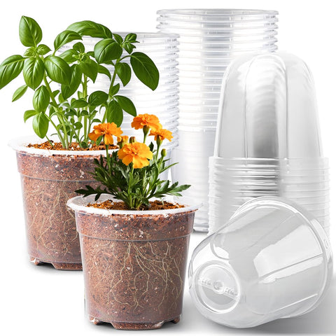 RooTrimmer 6-inch clear nursery pot with humidity dome for improved germination and growth.