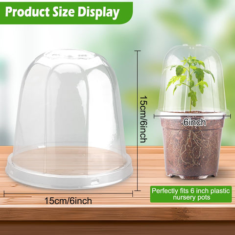 RooTrimmer 6 inch dome promotes faster root development in humidity