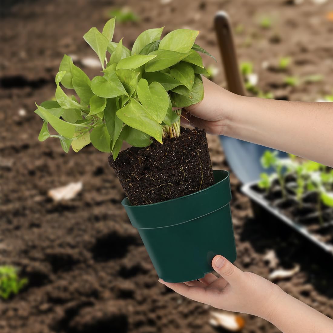 RooTrimmer 6-inch nursery pot green side view, great for in-ground or indoor use.