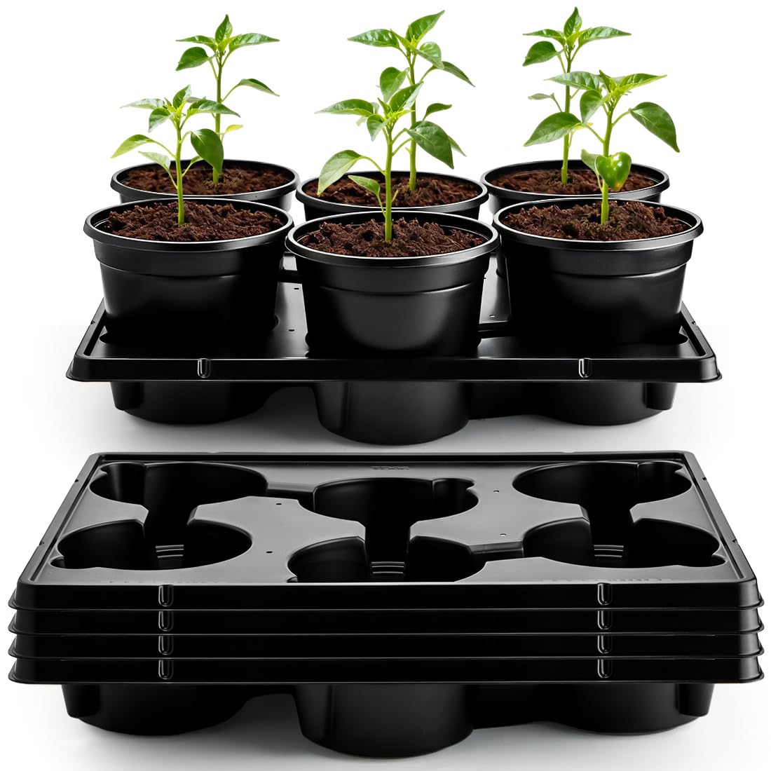 RooTrimmer 6-inch plastic pots with a tray for durable seed starting.
