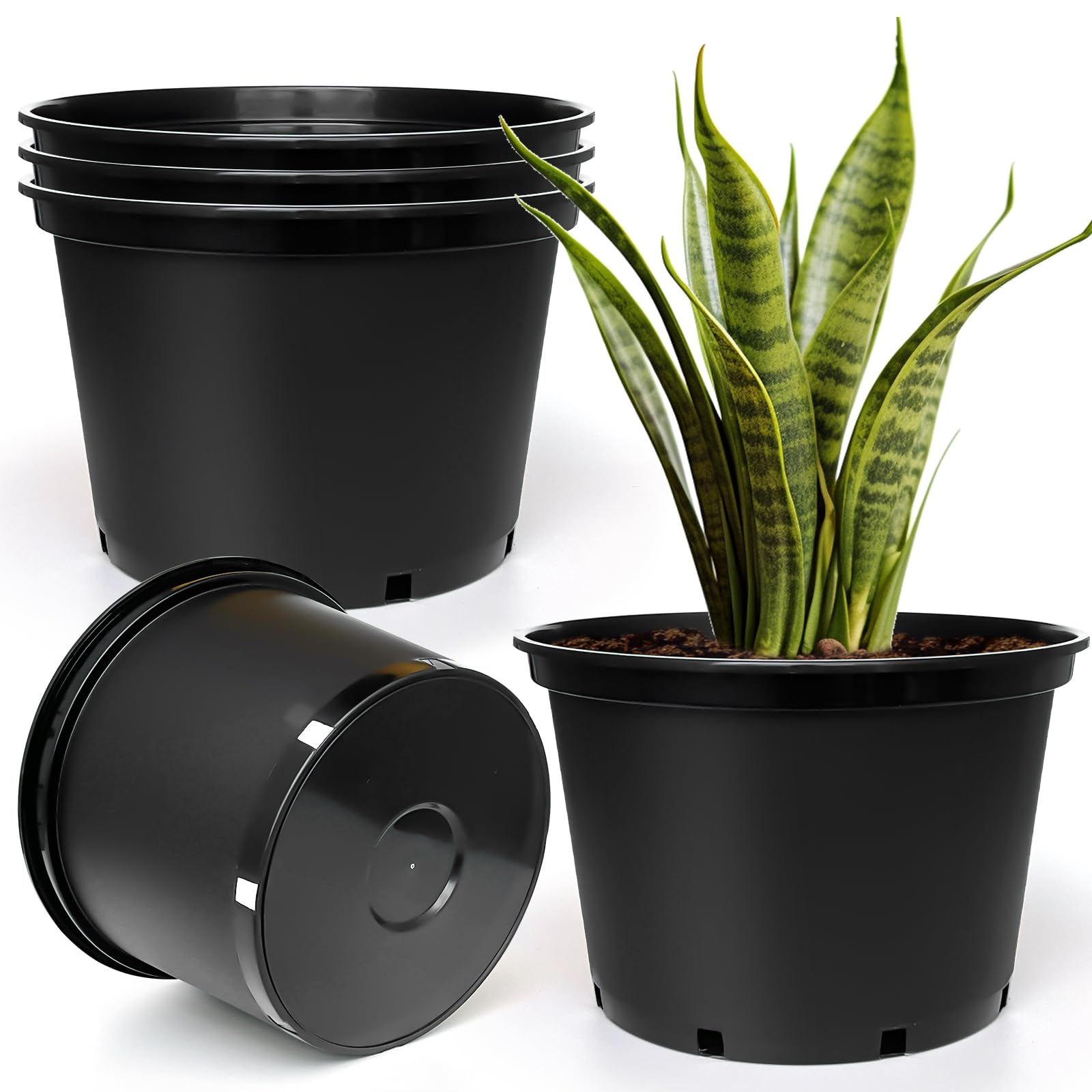 RooTrimmer 7-gallon pots front view shows easy transplanting and portability.