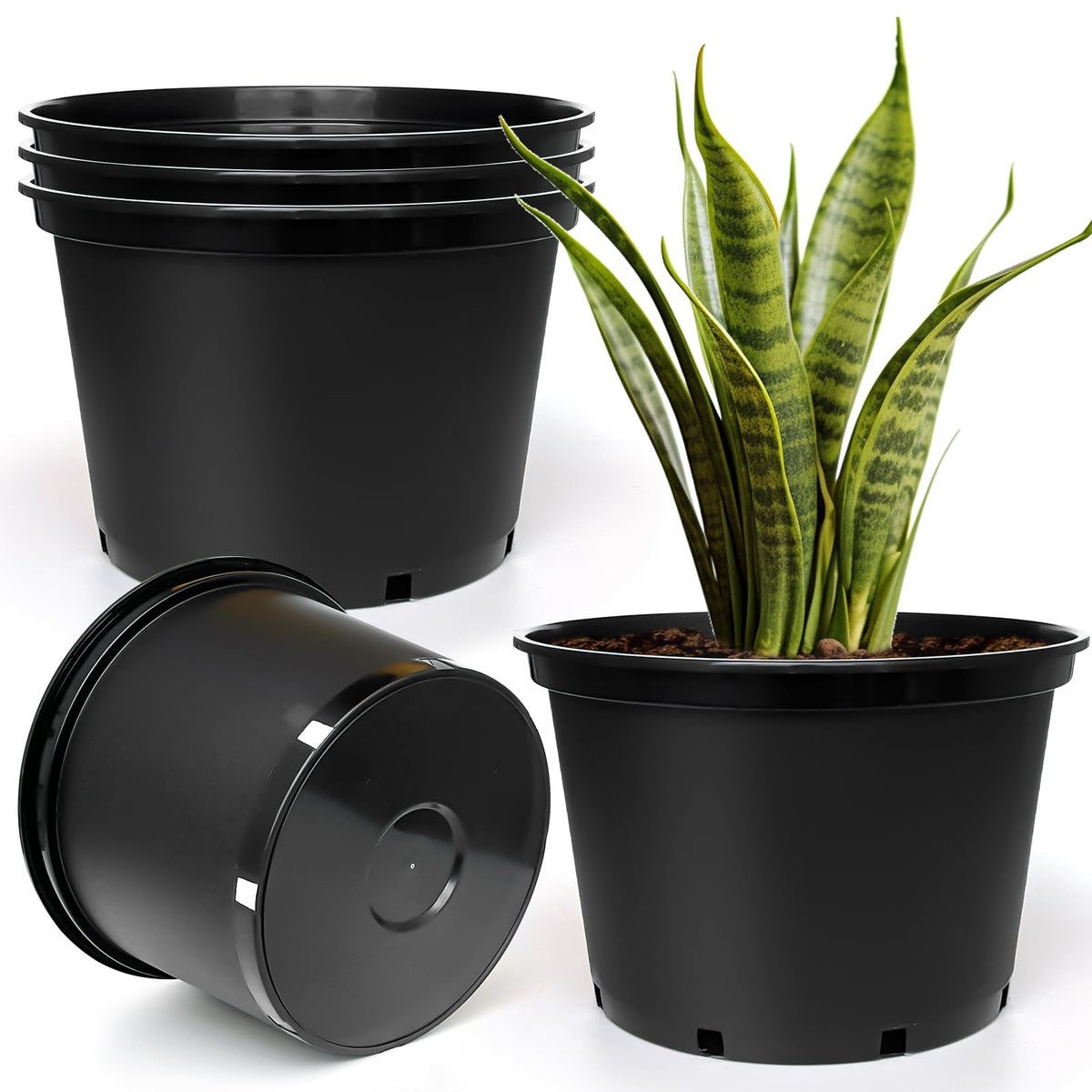 RooTrimmer 7-gallon pots front view shows easy transplanting and portability.