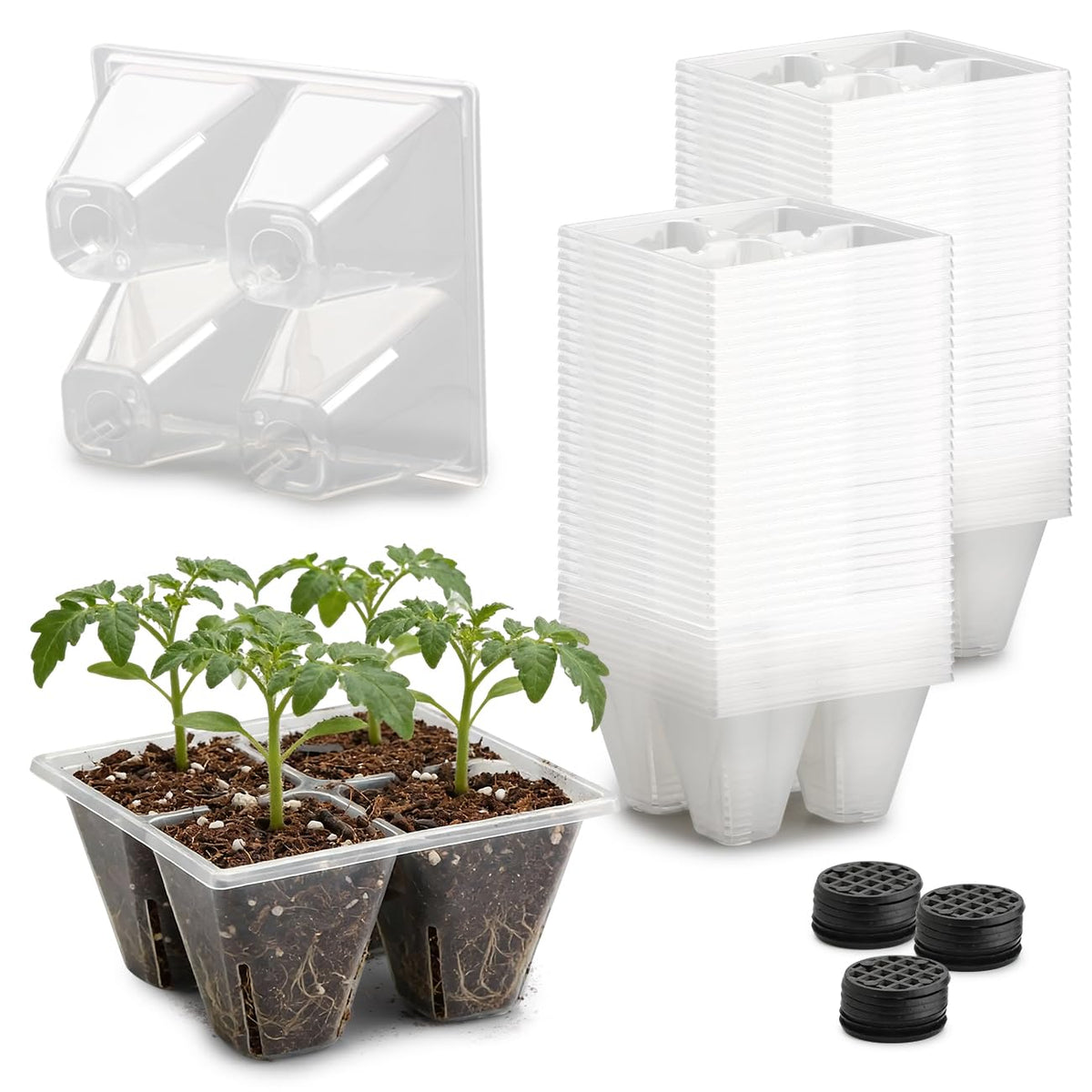 RooTrimmer clear 4-cell seed trays enable easy root observation and watering decisions.