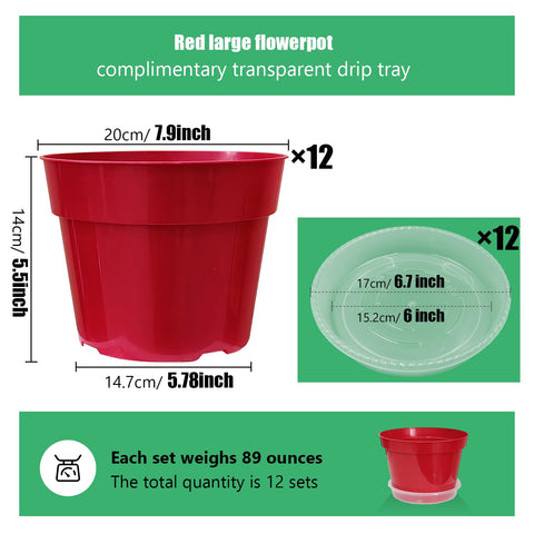 RooTrimmer 8-inch pots with clear translucent saucers to monitor drainage