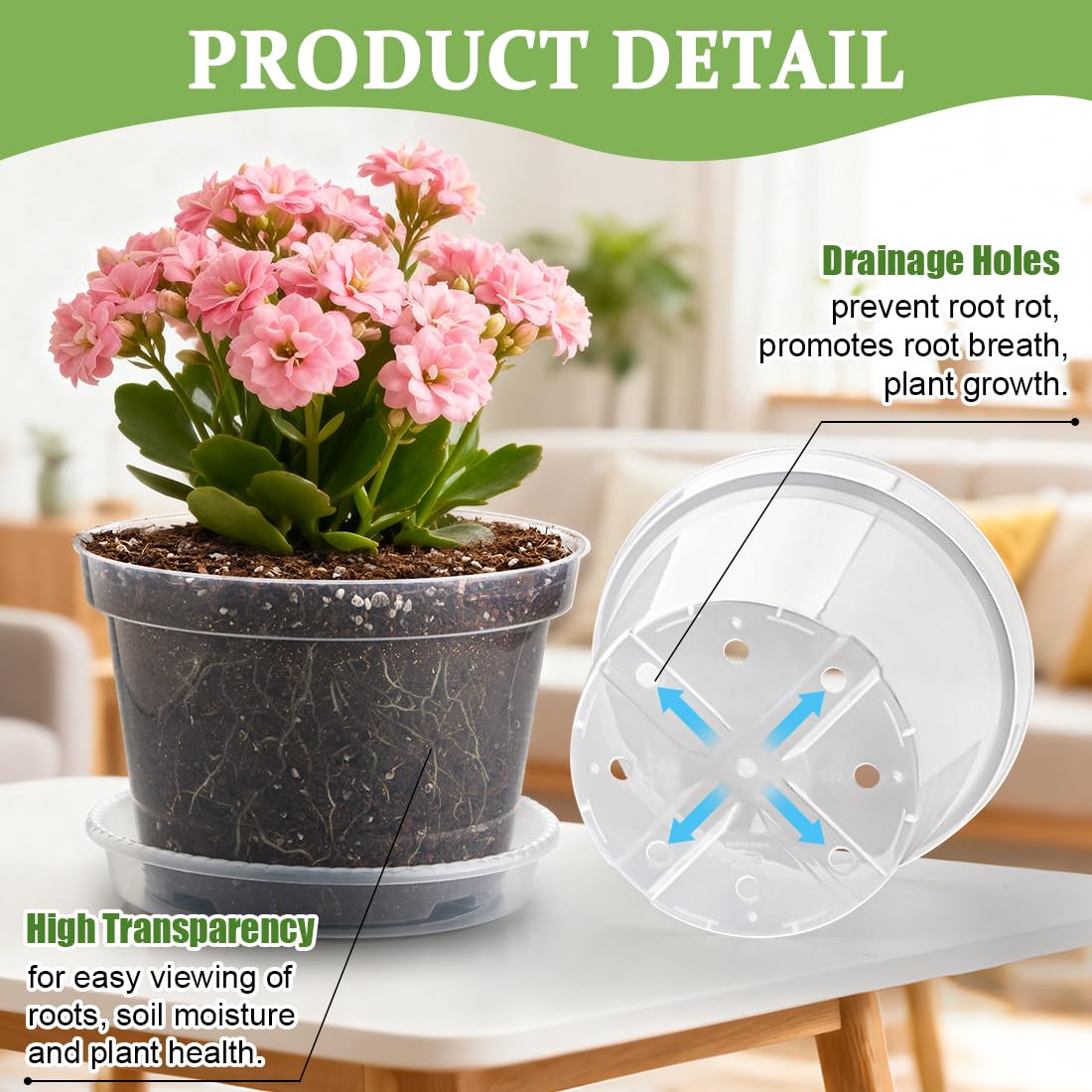 RooTrimmer 8-inch pot with eight drainage holes supports healthy roots.
